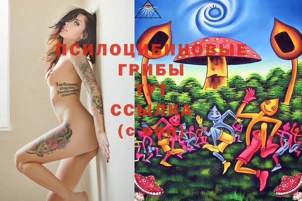 индика Алексеевка